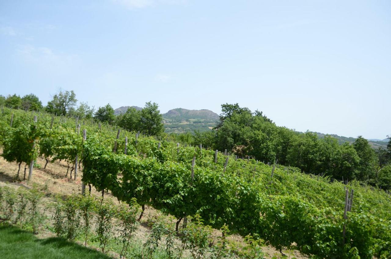 Agriturismo Ca' Del Sartu Bobbio Eksteriør billede